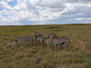 Kenia – Hakuna Matata als Muzungu? (10/25)